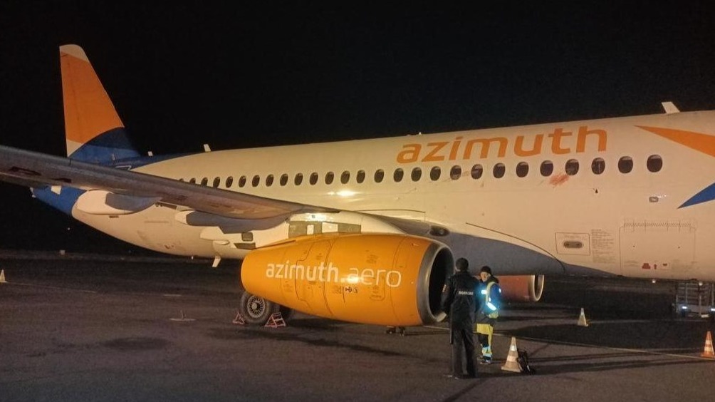 Самолет столкнулся с косулей в аэропорту Пскова