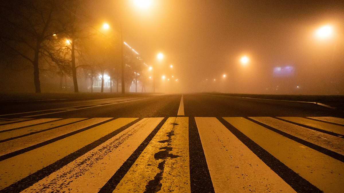 МЧС предупредило о тумане в Москве 21–22 ноября
