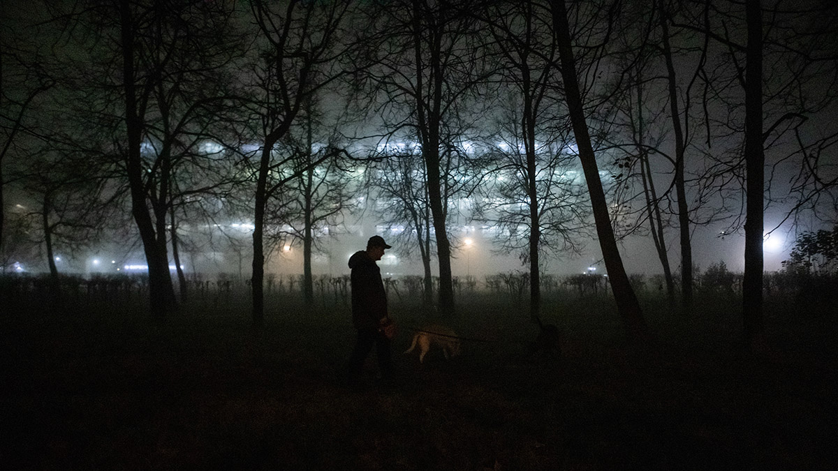Московских водителей предупредили о тумане в ночь на вторник