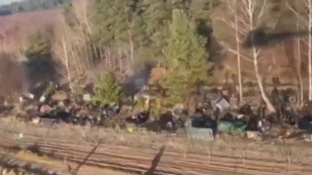 Около 50 беженцев штурмом прорвались в Польшу из Белоруссии