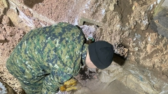 Москвич укрывал своего знакомого, убившего на его глазах человека прошедшим летом