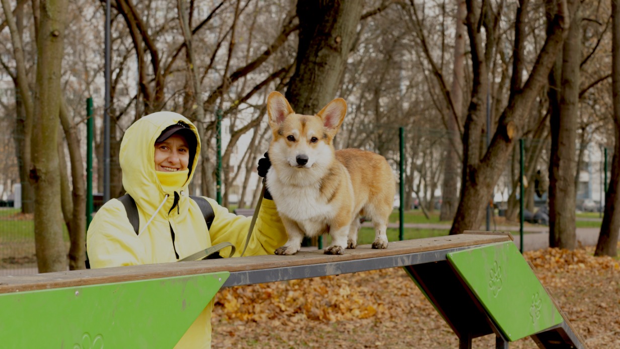 Анна Махнева со своим псом породы корги Феней любят гулять на специально организованных площадках, где есть инвентарь и ограждения