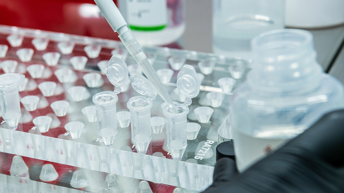 Moderna обозначила сроки создания вакцины от штамма «омикрон»