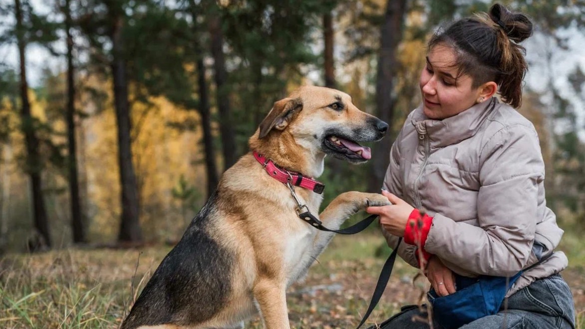 Собака из приюта по кличке Лана подает лапу волонтеру Алине Бобровой