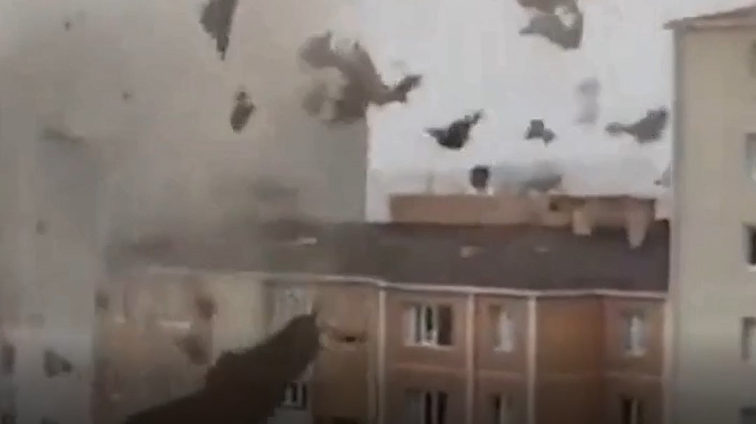 Четыре человека погибли в Стамбуле из-за последствий урагана