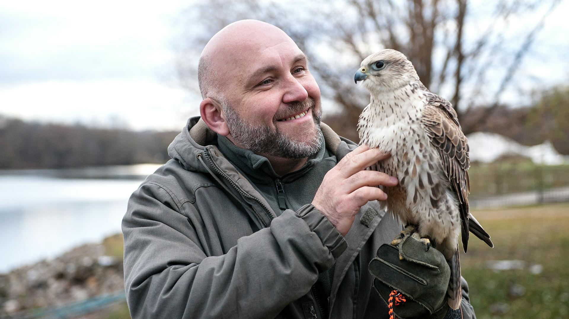 Сокольничий Сергей Ярцев и сокол Каспер гуляют перед открытием новой выставки, посвященной охоте времен XVII века