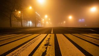 МЧС предупредило о тумане в Москве 21–22 ноября