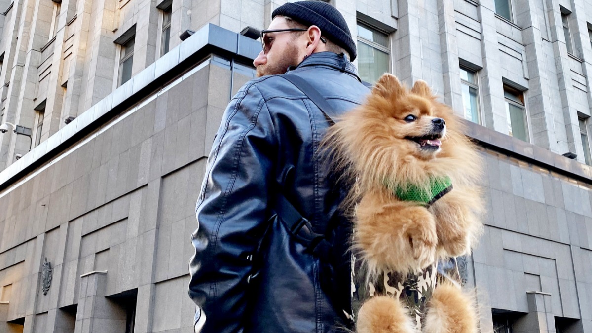 Путешествовать можно не только по земле, но и по воздуху