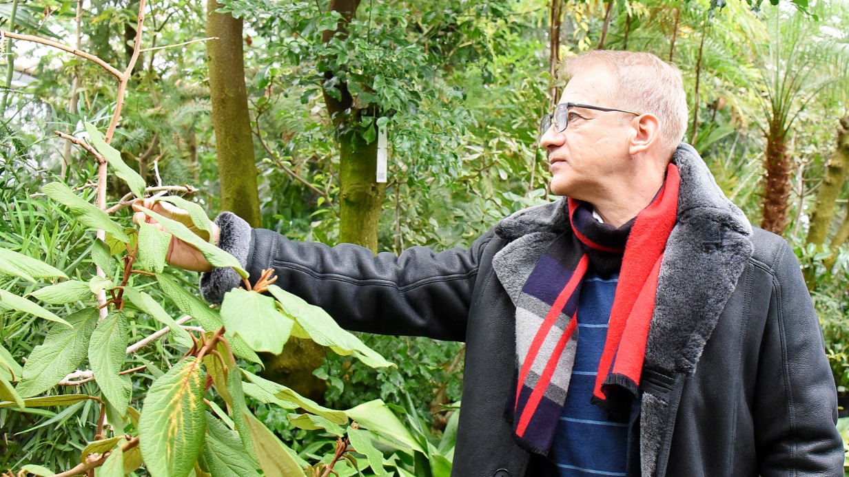 Директор Главного ботанического сада имени Цицина Владимир Упелниек в одном из залов Старой Фондовой оранжереи, где представлены растения тропиков и субтропиков