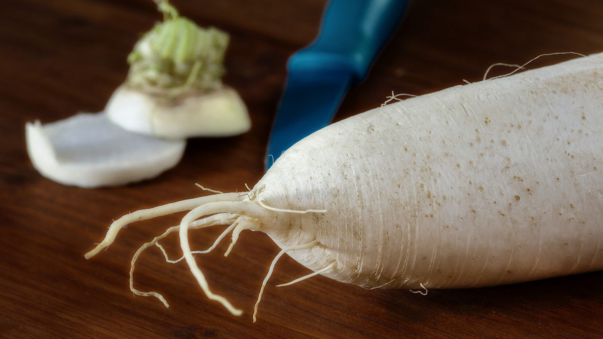 Нутрициолог Дробышева рассказала о пользе редьки для женского и мужского здоровья