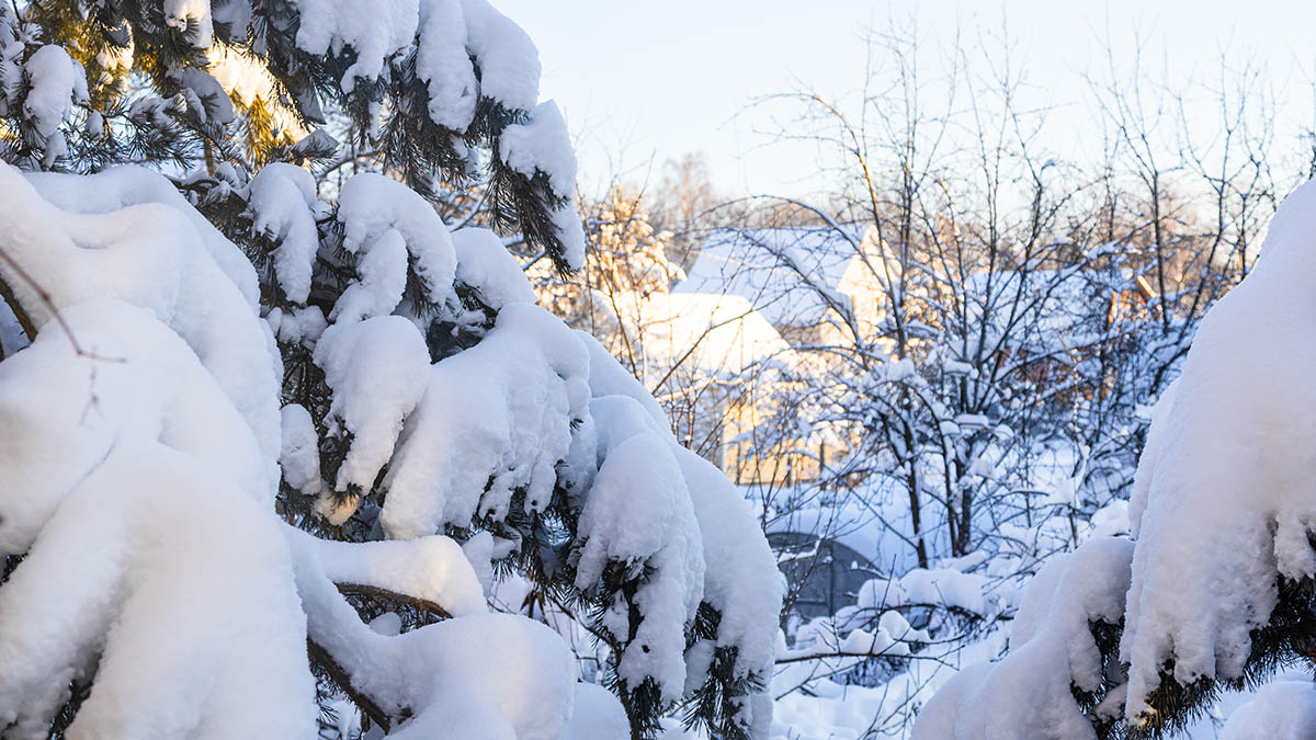Редкая алмазная пыль была замечена в атмосфере Москвы