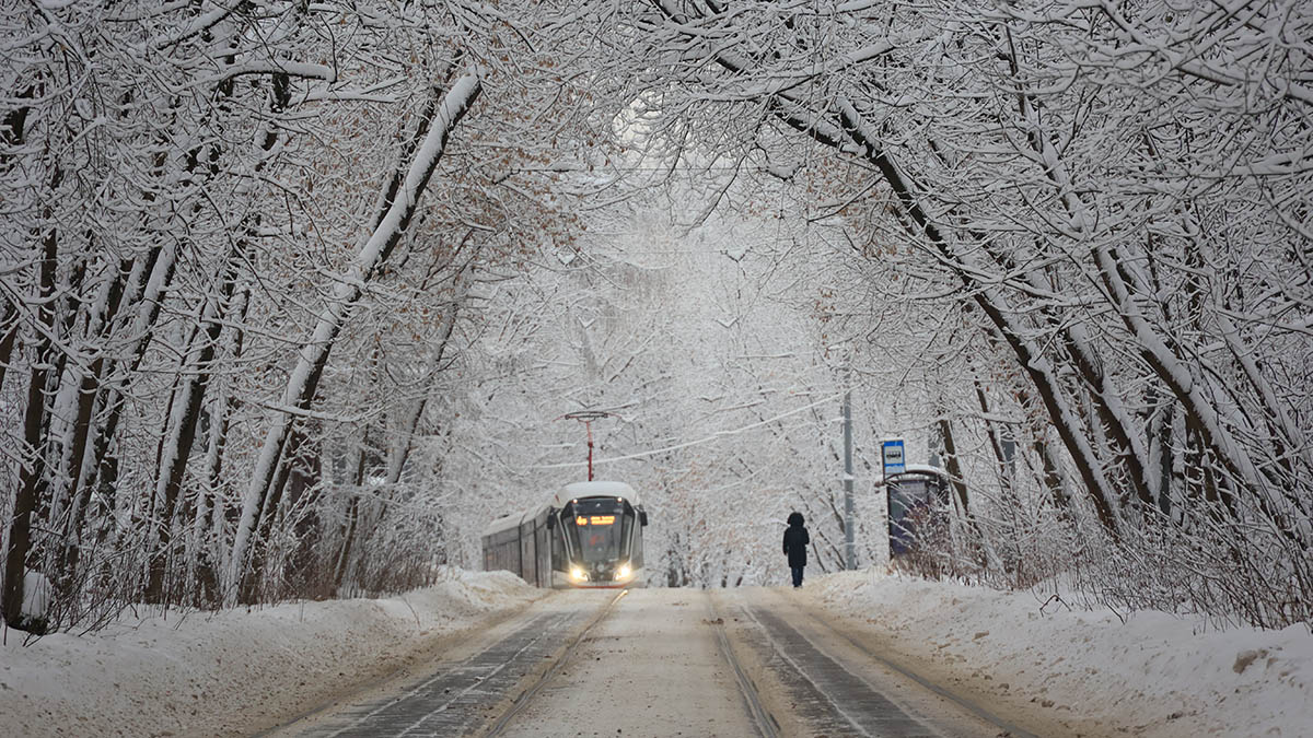 Водитель автомобиля выехал на трамвайные пути и застрял на Главной аллее