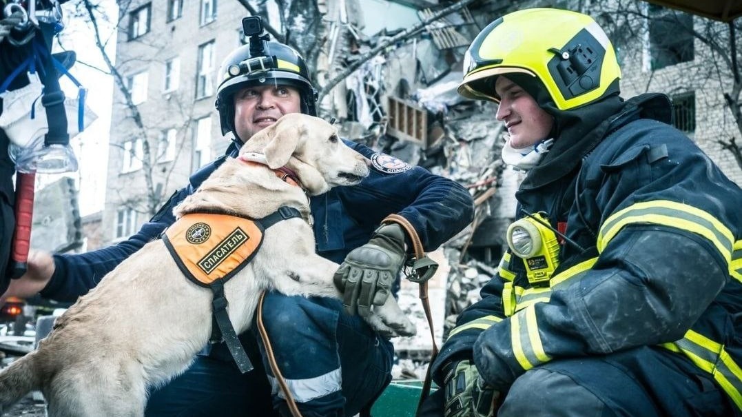 В учебном центре ГО и ЧС за год готовят более 70 спасателей-добровольцев