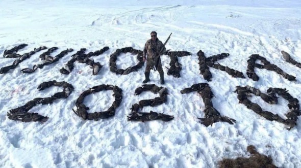 Магаданского депутата, позировавшего на фото с мертвыми гусями, нашли мертвым