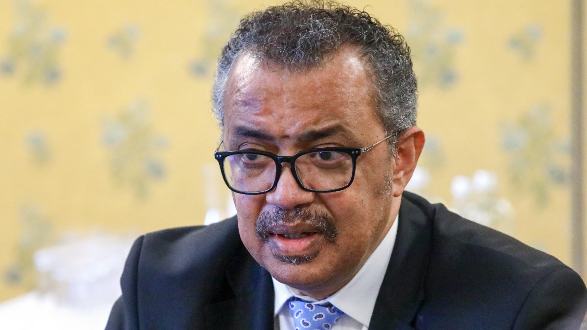 Глава ВОЗ предложил отменить новогодние мероприятия на фоне распространения COVID-19