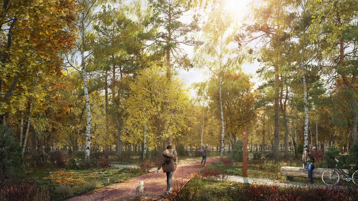 Парк с редким северным ландшафтом появится на юге столицы
