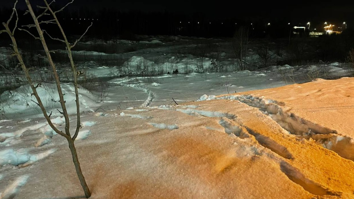 Замерзший в Дубне мальчик сильно отставал в развитии