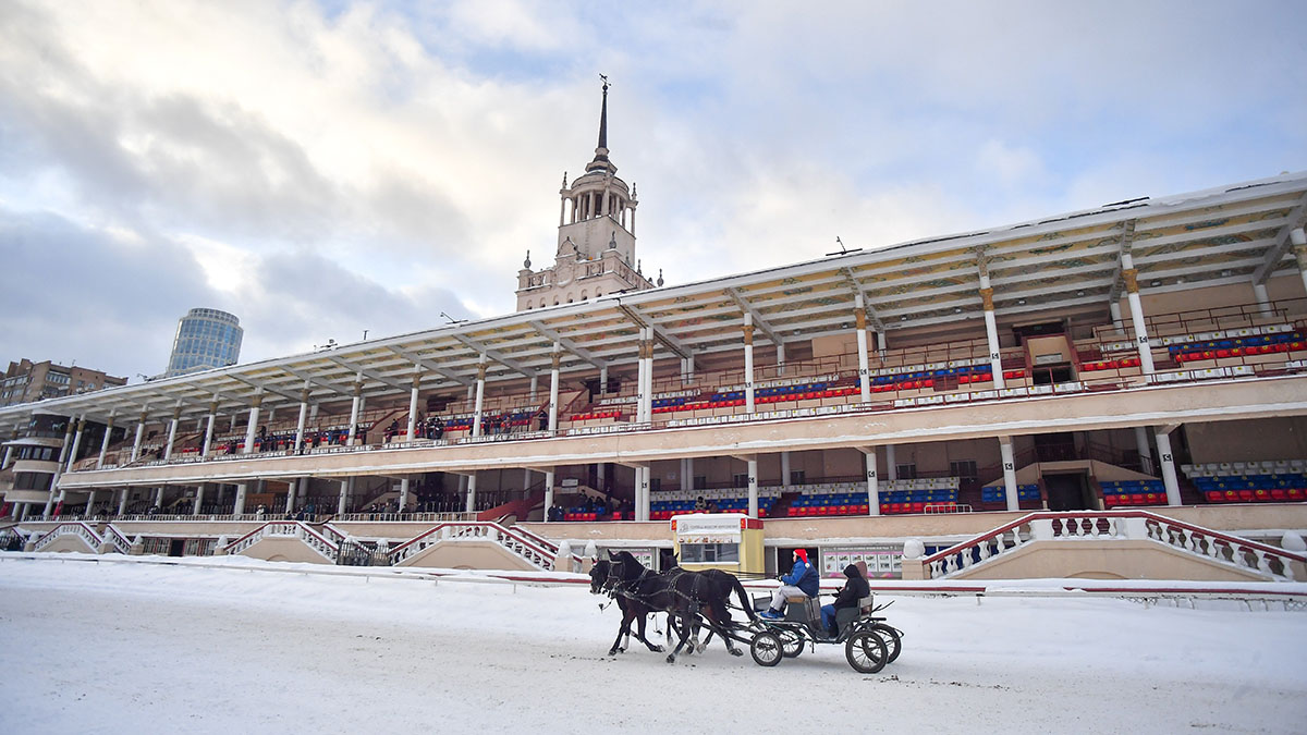 Пять экскурсий по Центральному столичному ипподрому появились в сервисе Russpass