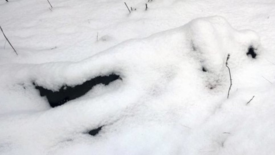 Тело голого мужчины нашли на территории военного НИИ в Подмосковье