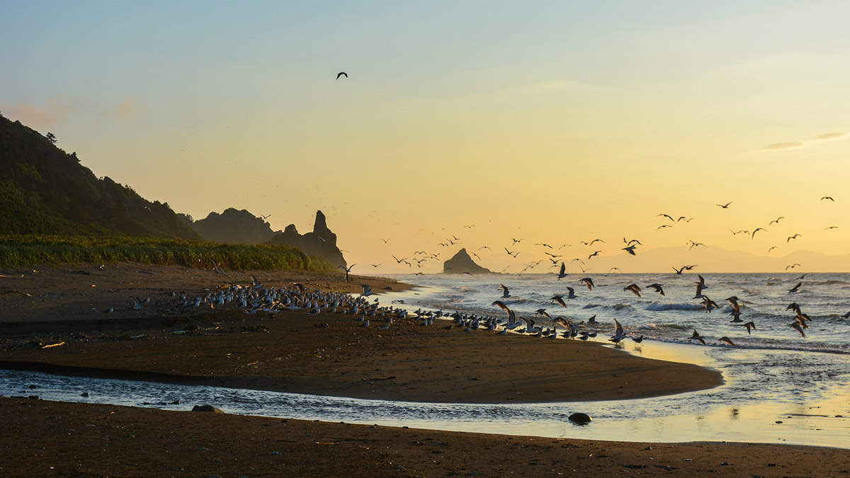 Геолог Кусонский призвал не опасаться очередного землетрясения около Курильских островов