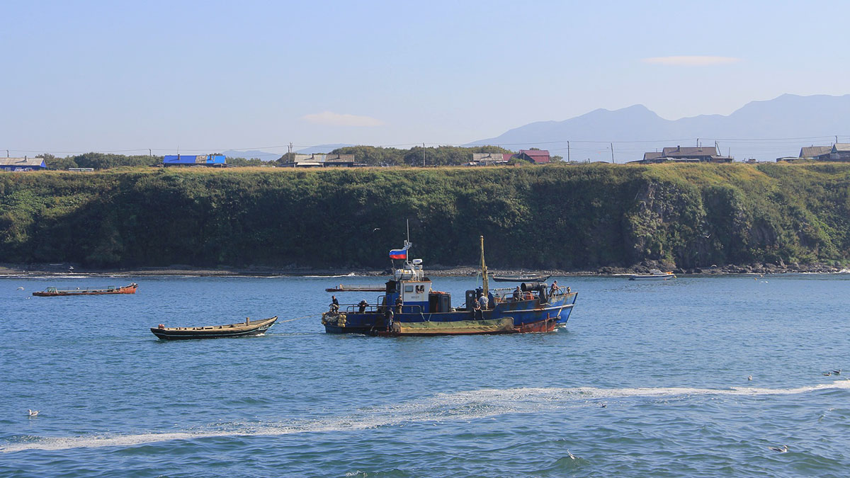 Тревога цунами объявлена на северных Курилах после землетрясения в регионе