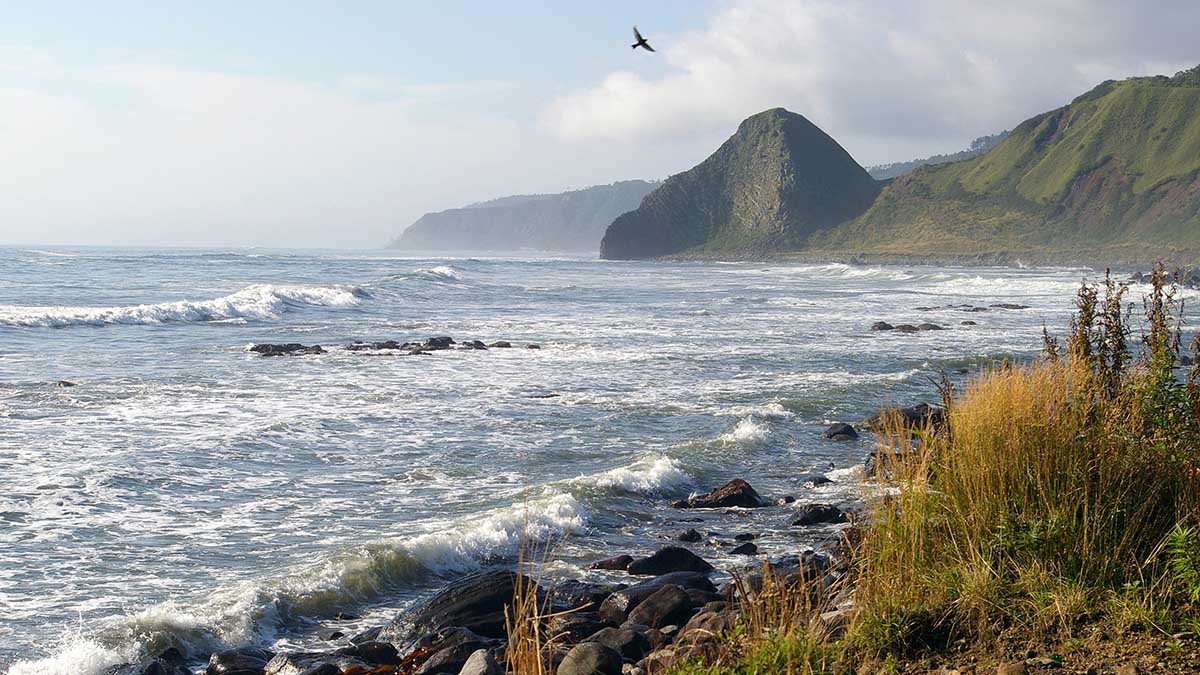 Политолог Марков оценил возвращение Японией формулировки об «оккупации» Курил