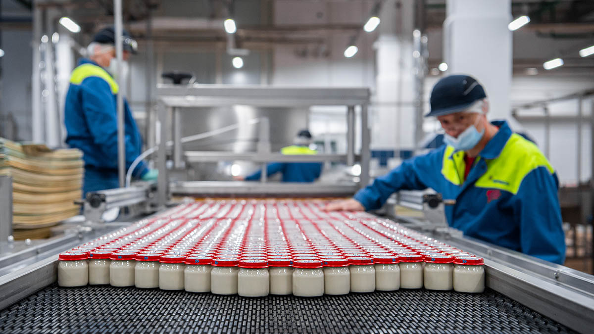 Правительство одобрило запрет называть продукты «био» без экосертификатов