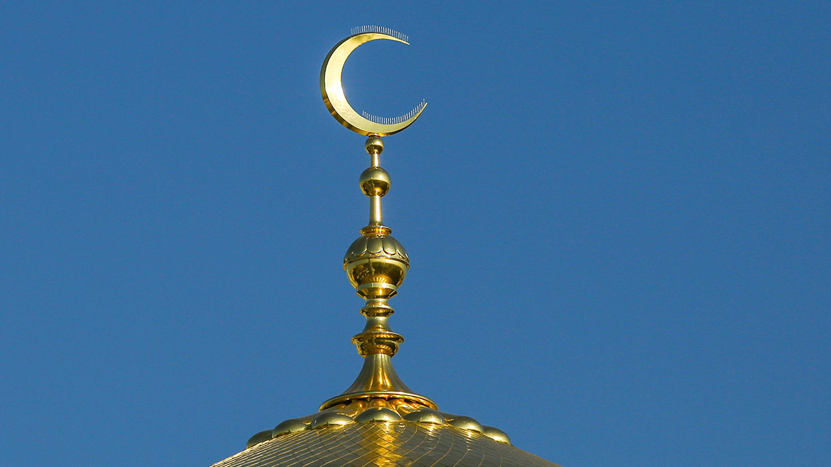 Муфтий Москвы Аляутдинов: Запрет никаба может вызвать новые очаги напряженности