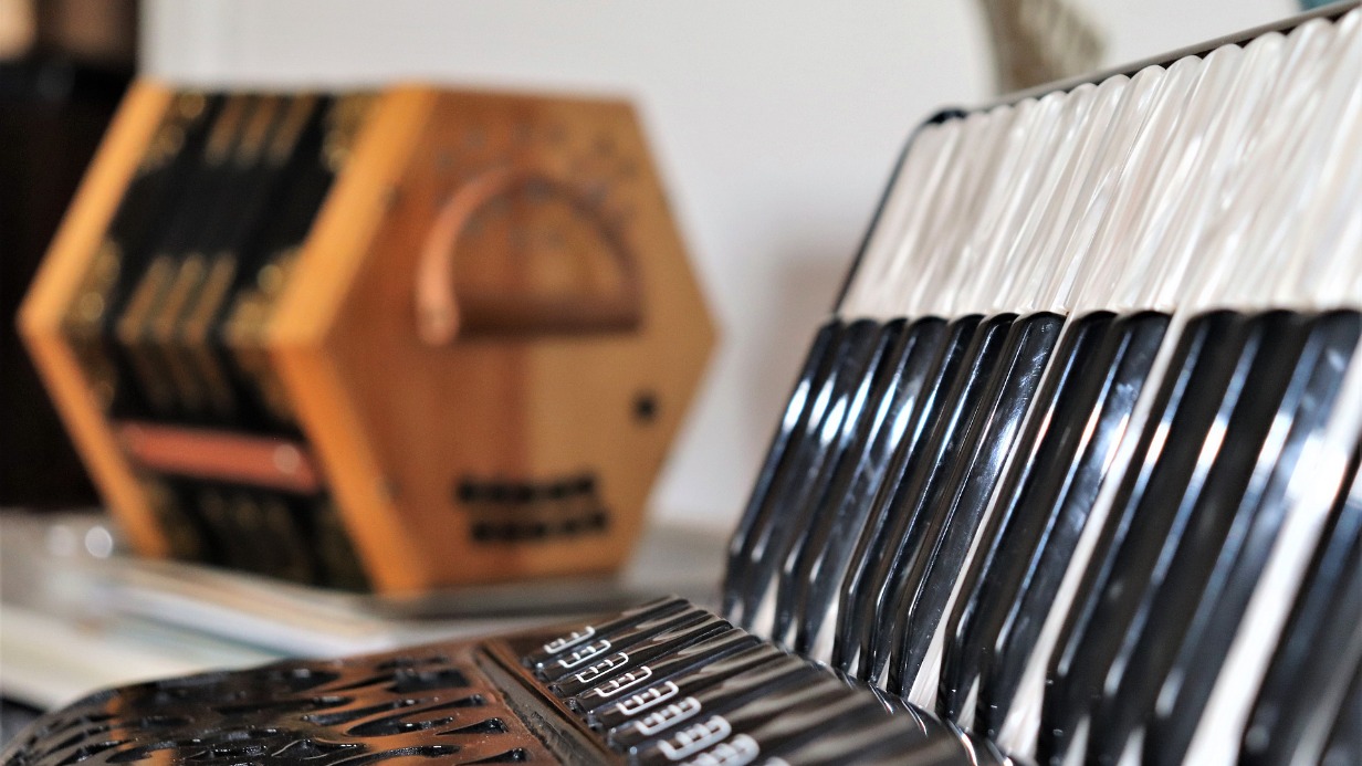 Восемь баянов и аккордеонов: появились подробности о краже музыкальных инструментов из Гнесинки