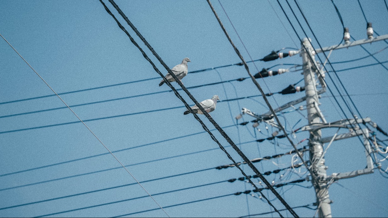 «Приплавился»: в Кузбассе школьник забрался на трансформаторную будку и обгорел