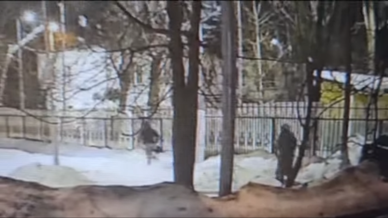 Полиция задержала приезжего, ограбившего женщину на юго-востоке Москвы