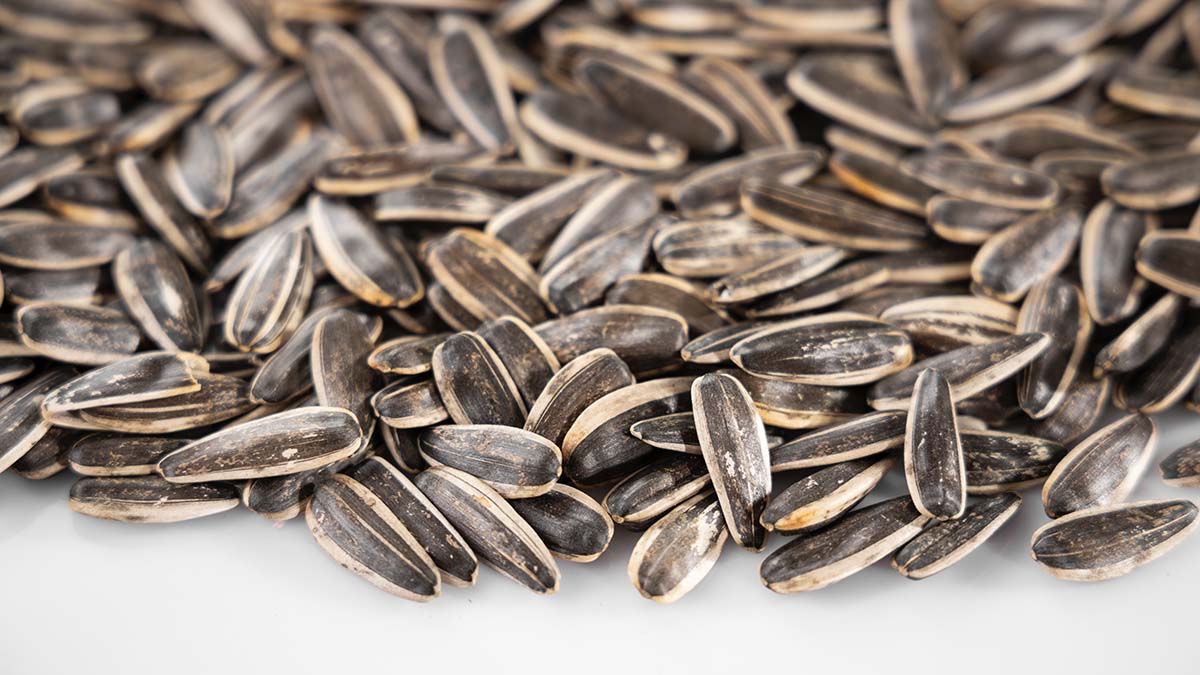 Гастроэнтеролог Кашух объяснила, какие семечки могут навредить здоровью