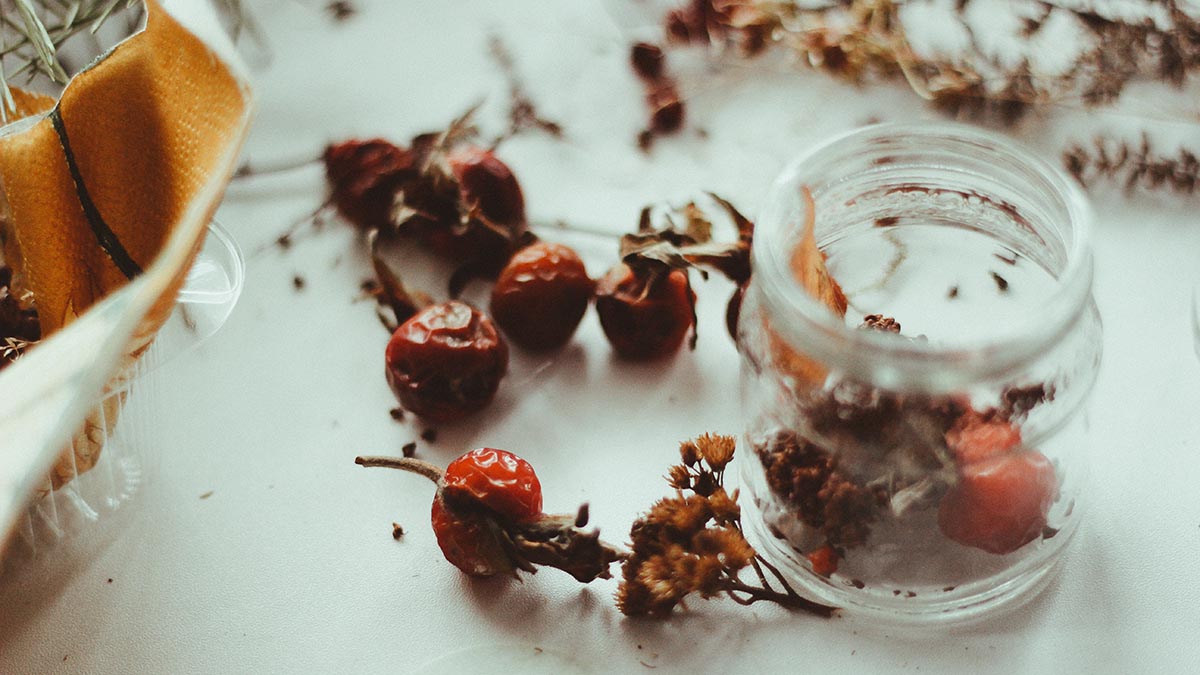 Чем полезен шиповник