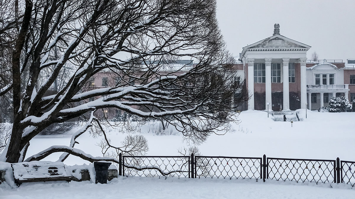 Снежный покров в Москве вдвое превысил апрельскую норму 
