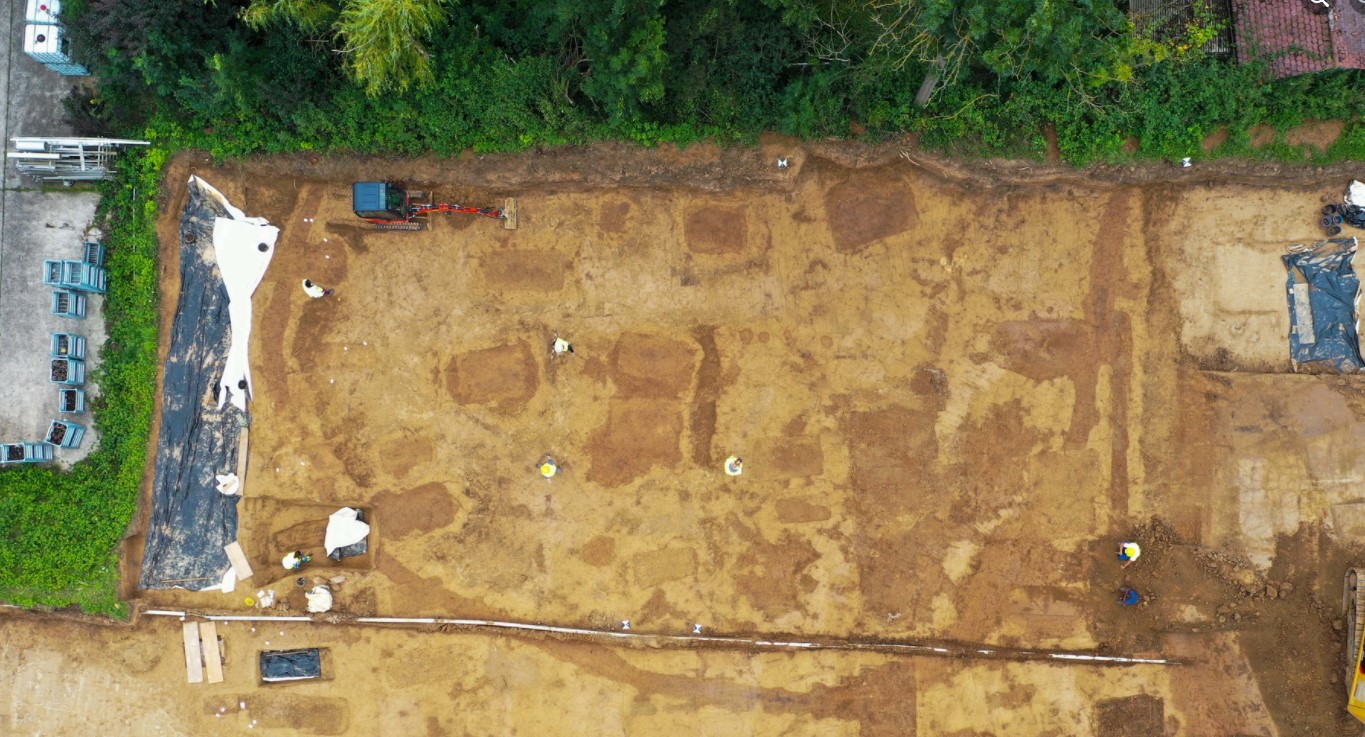 В Германии на древнем кладбище нашли таинственный скелет обезглавленной лошади