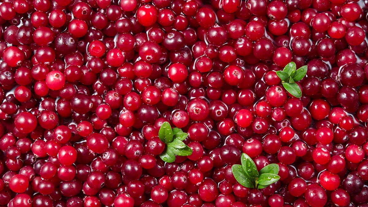 Названа ягода, которая повышает уровень кислорода в мозге и уменьшает потерю памяти