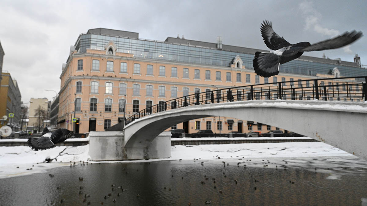 Москвичей призвали не расслабляться из-за ситуации с COVID-19