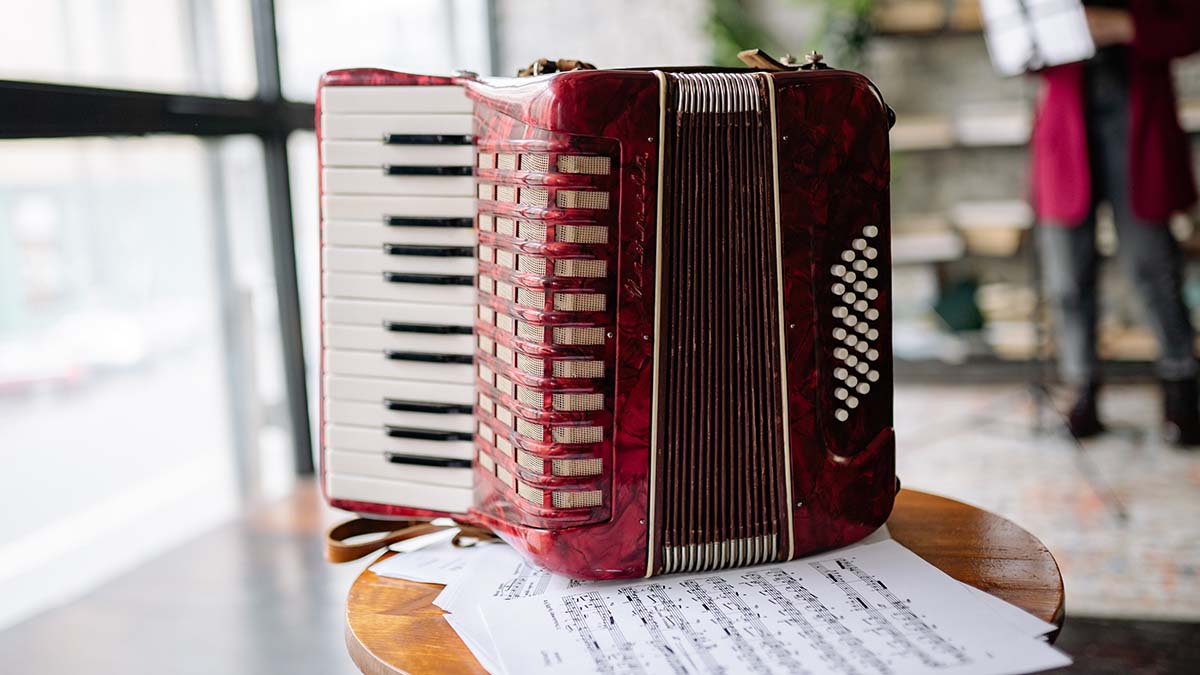 Астраханец украл у пенсионера из Мытищ дорогой аккордеон