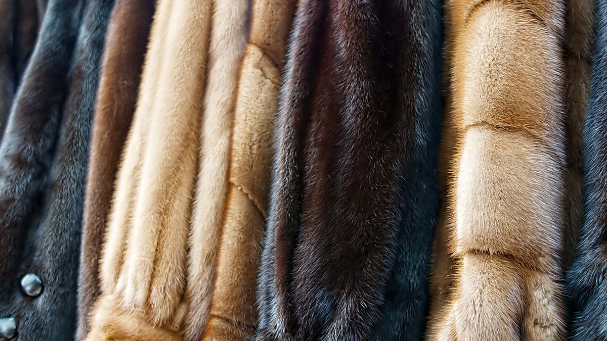 Уборщик в Шереметьеве украл забытую в зале ожидания шубу