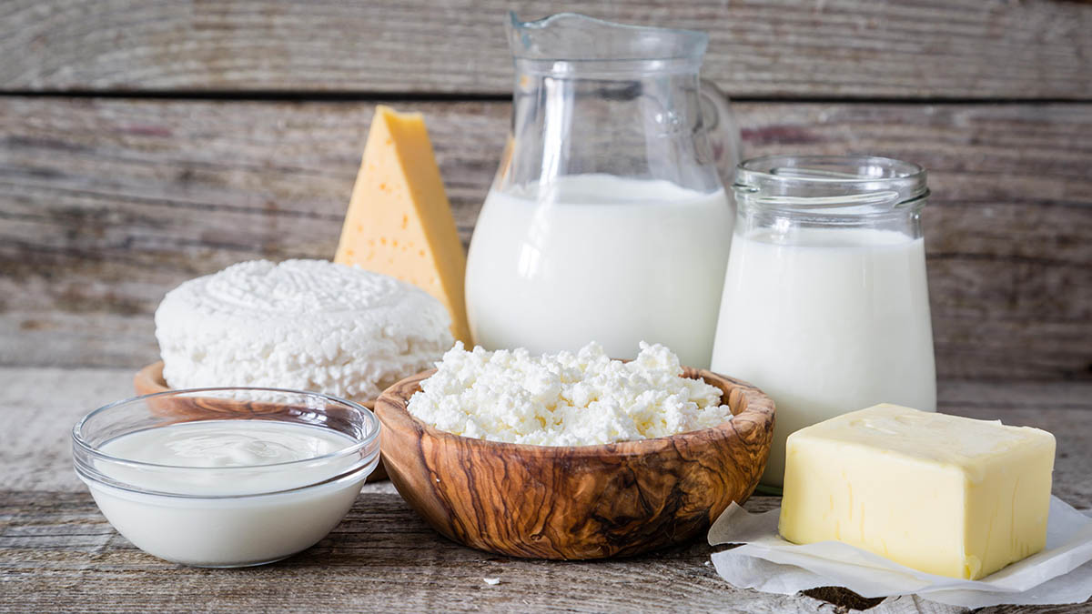 Гериатр рассказала, какие молочные продукты стоит выбирать пожилым людям