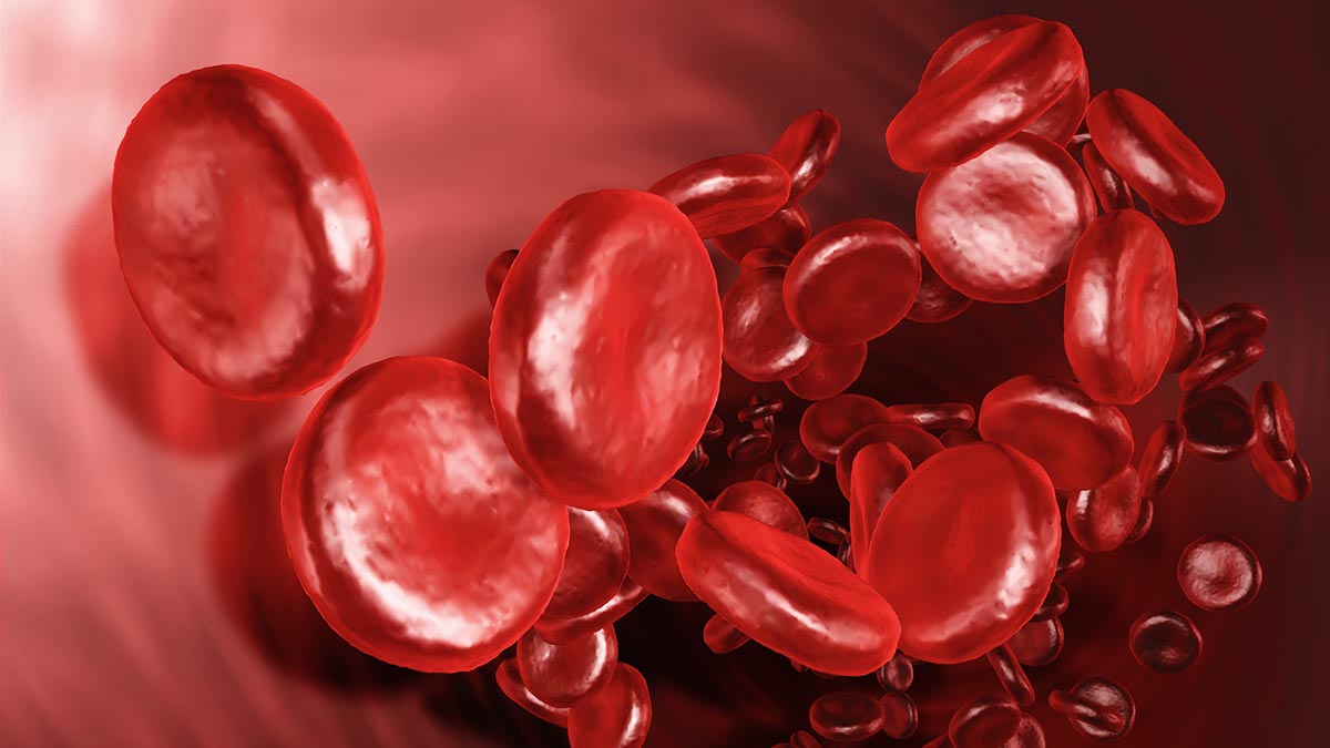 Названа группа крови, обладатели которой чаще других болеют коронавирусом