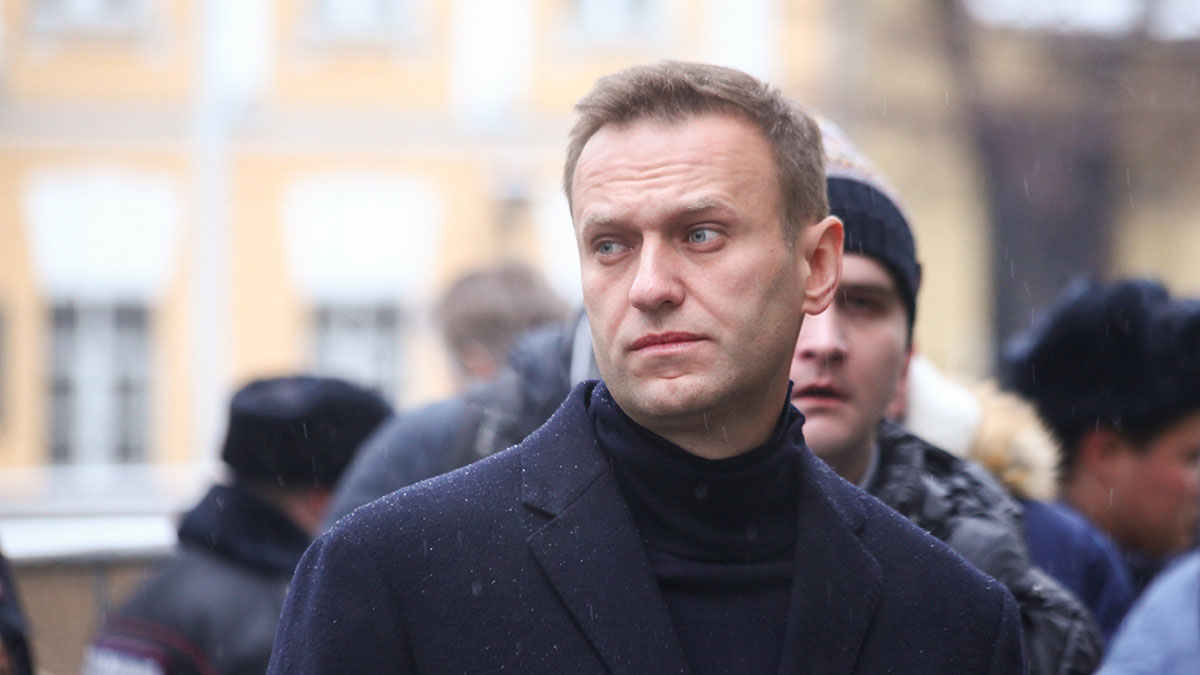 Спонсоры навального. Навальный в профиль. Фото Навального в колонии сейчас. Навальный в Котельниче.