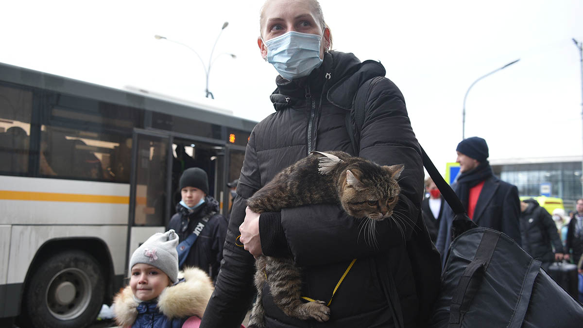 Кабмин утвердил распределение по регионам беженцев с Украины, из ДНР и ЛНР