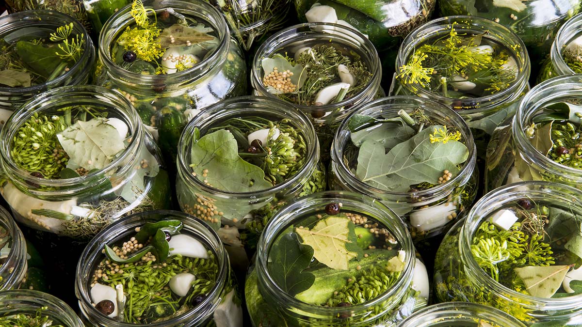 Проезжую часть в Подмосковье засыпало солеными огурцами