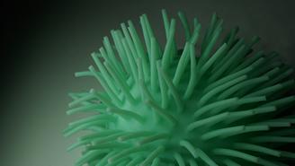 Распространяется быстрее: новый штамм коронавируса захватил Азию и США 