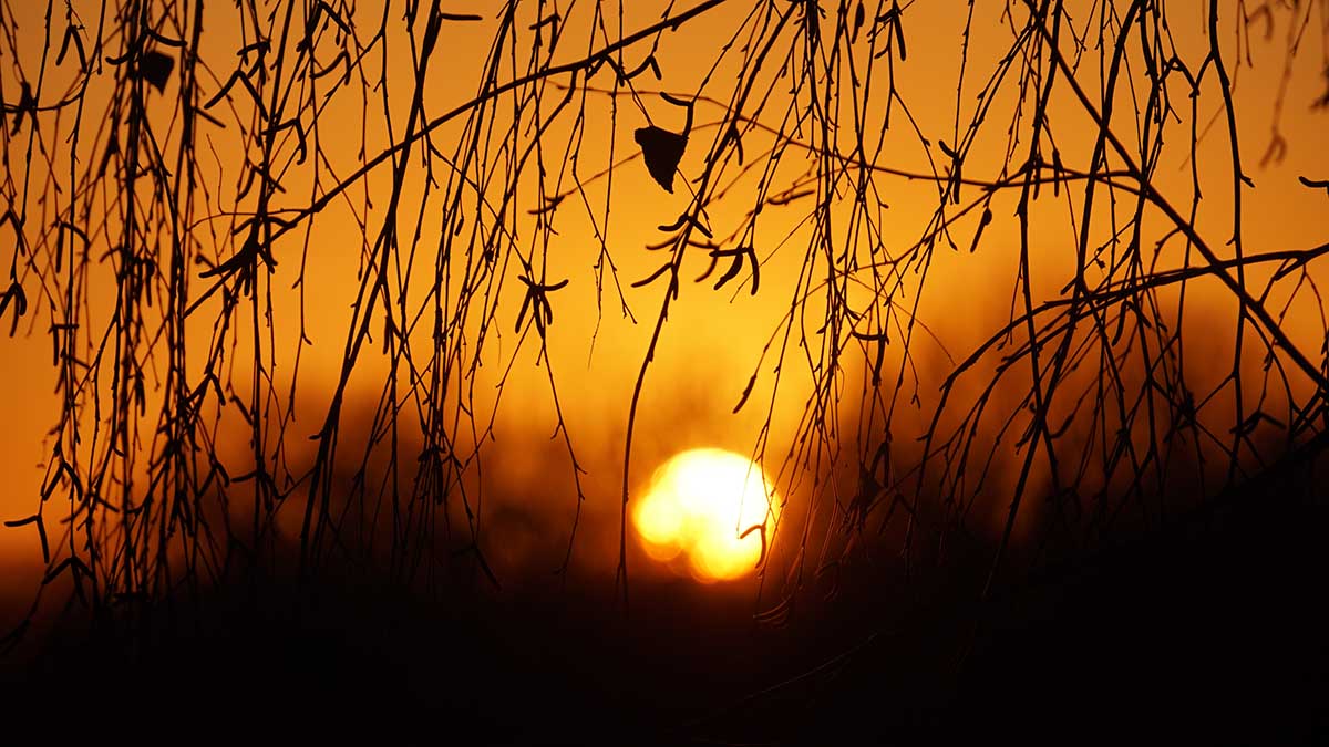 Синоптик Леус: Первая декада ноября в столице ожидается теплее нормы