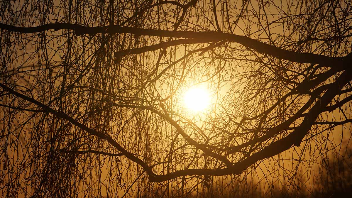 Народный календарь. Почему нельзя смотреть на солнце 26 мая