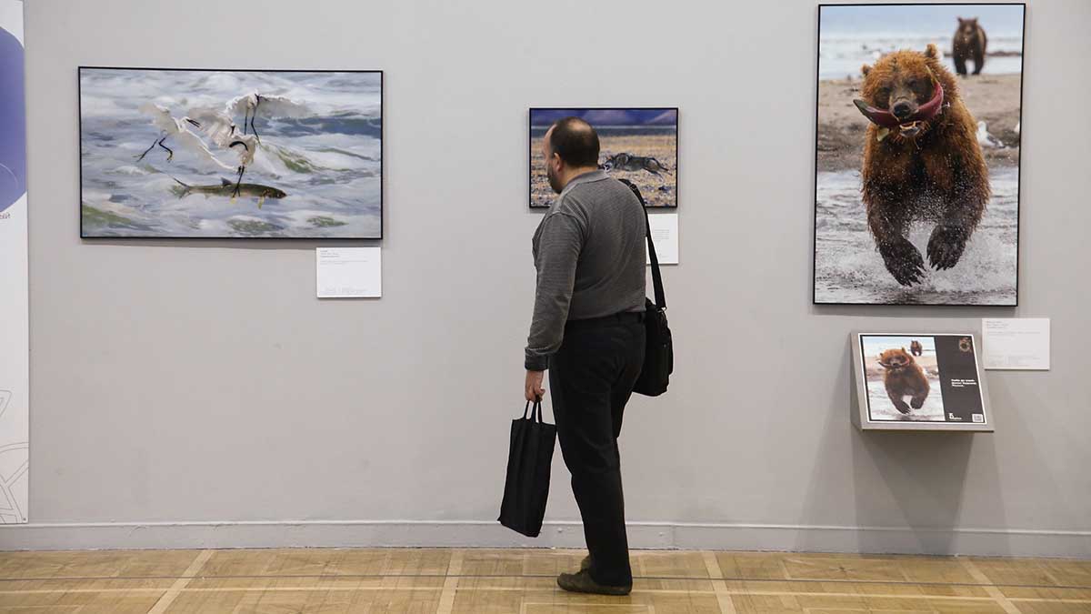 Строительство объекта культурно-просветительского назначения в Зеленограде отменено