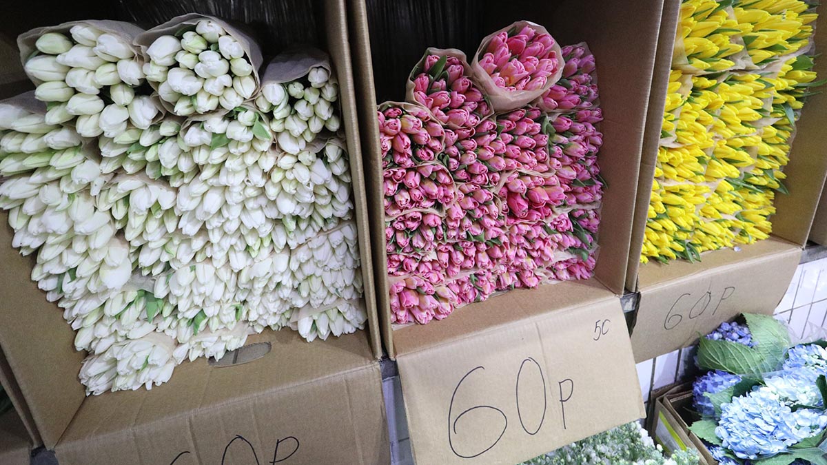 Экономист Захаров пояснил, почему цены на цветы растут перед 8 Марта