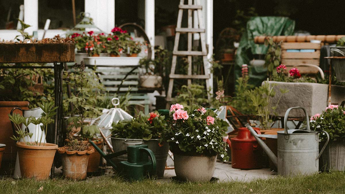 В Госдуме предложили удлинить майские каникулы до 10 дней